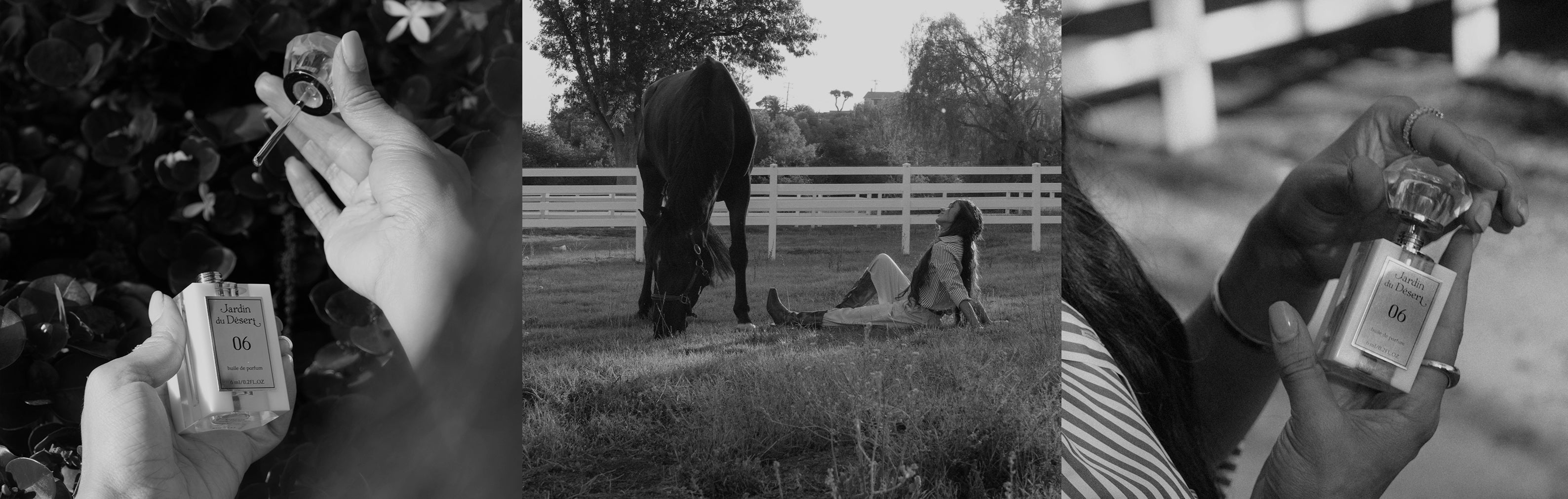 The Signature Collection